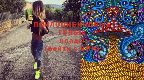 apvp Алексеевка