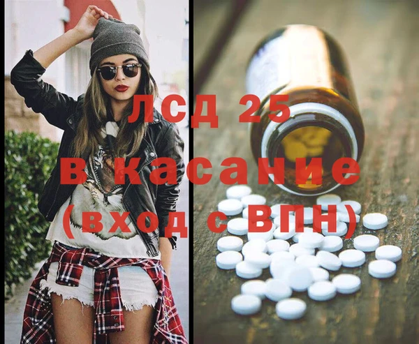винт Алзамай