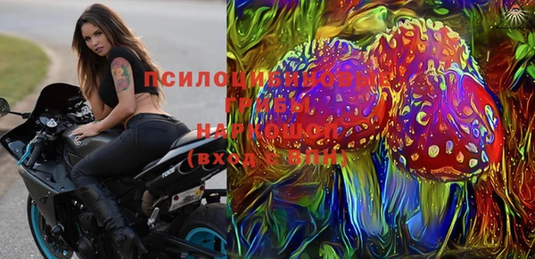 винт Алзамай