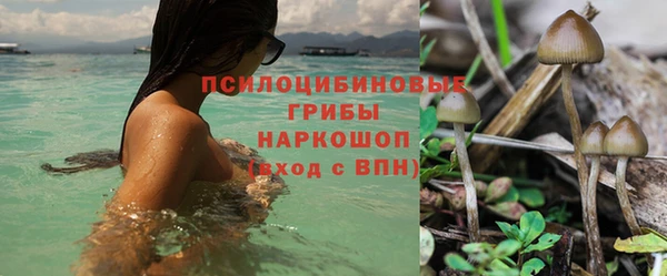 apvp Алексеевка