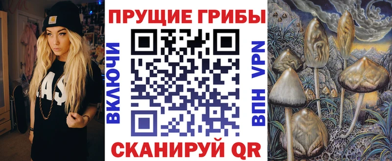 площадка телеграм  Копейск  Галлюциногенные грибы GOLDEN TEACHER  гидра вход 