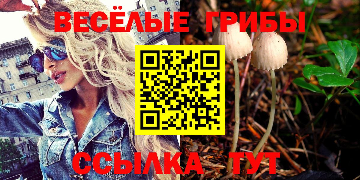 Псилоцибиновые грибы Psilocybine cubensis Копейск